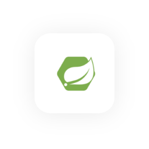 spring_boot_icon-300x300